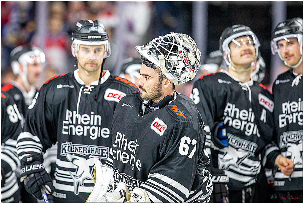 DEL; Koelner Haie - Krefeld Pinuguine; Koeln, 24.11.2019